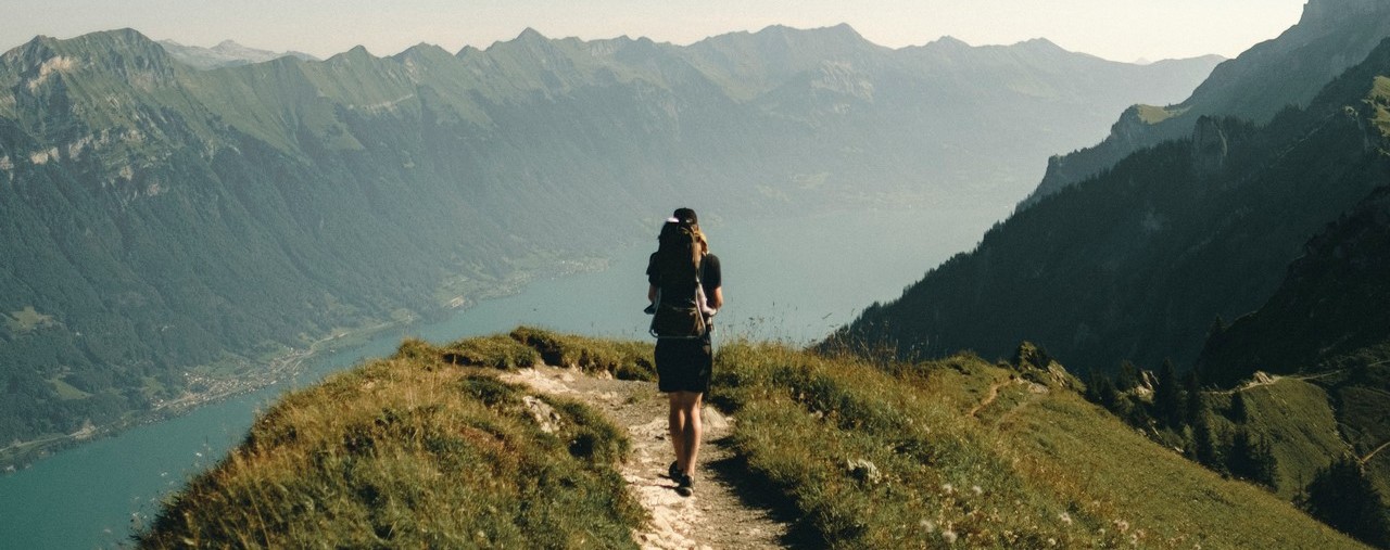 joel-jasmin-forestbird-znoL1m6MD_k-unsplash